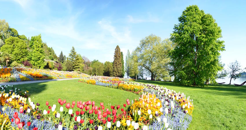 Insel Mainau