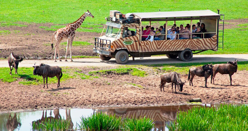 Serengeti-Park Hodenhagen