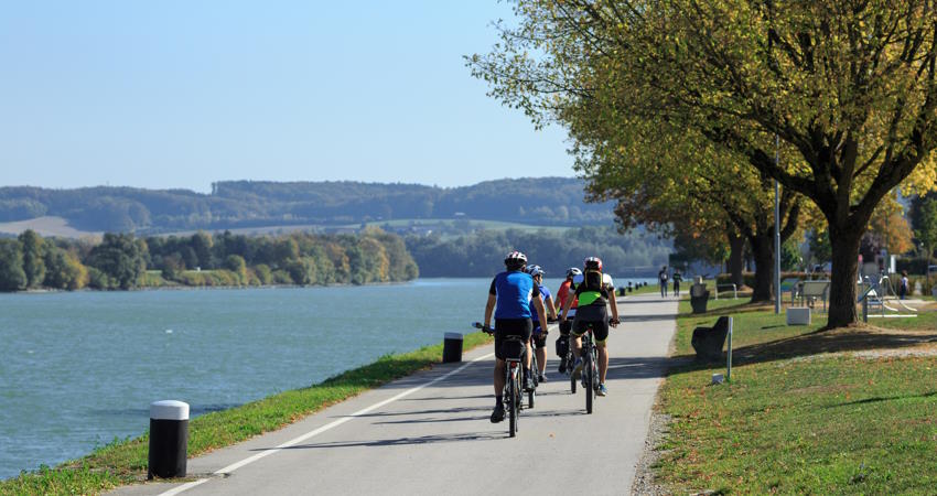 Radfahren Donau