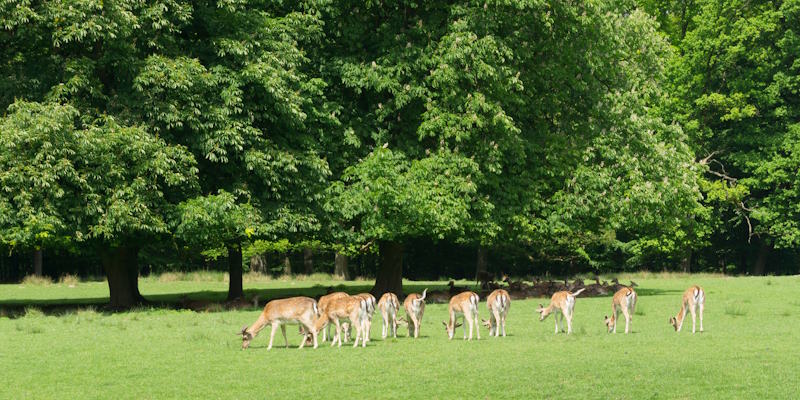 Naturpark Münsterland