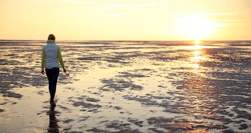 Wattenmeer