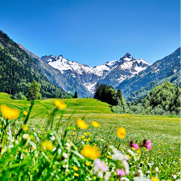 Urlaub in Bayern