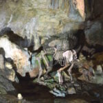 Bärenhöhle Sonnenbühl