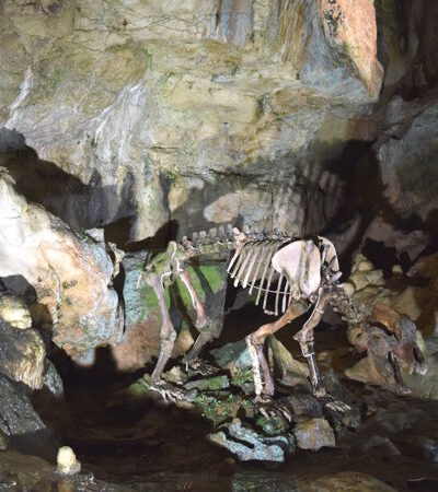 Bärenhöhle Sonnenbühl – beliebtes Ausflugsziel in der Schwäbischen Alb