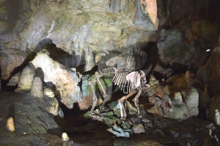 Bärenhöhle Sonnenbühl