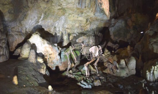 Bärenhöhle Sonnenbühl – bekannte Tropfsteinhöhle auf der Schwäbischen Alb