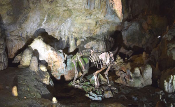 Bärenhöhle Sonnenbühl