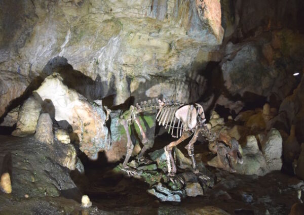 Bärenhöhle Sonnenbühl – bekannte Tropfsteinhöhle auf der Schwäbischen Alb