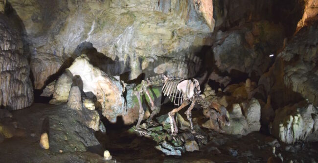 Bärenhöhle Sonnenbühl – beliebtes Ausflugsziel in der Schwäbischen Alb
