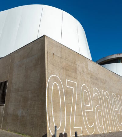 Ozeaneum Stralsund – die Unterwasserwelt erleben