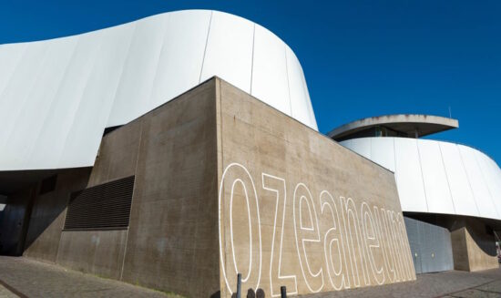 Ozeaneum Stralsund – die Unterwasserwelt erleben