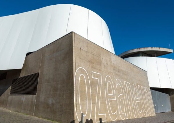 Ozeaneum Stralsund – die Unterwasserwelt erleben