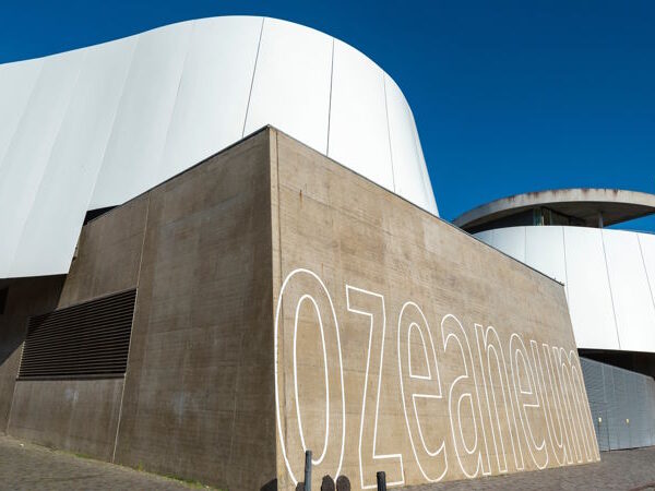 Ozeaneum Stralsund – die Unterwasserwelt erleben