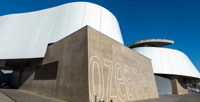 Ozeaneum Stralsund – die Unterwasserwelt erleben