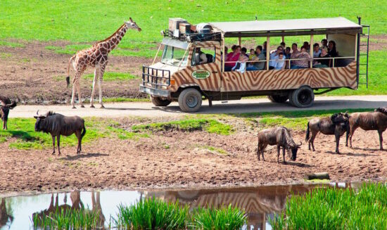 Serengeti-Park Hodenhagen – Expedition Natur und Abenteuer