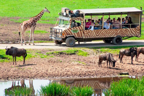 Serengeti-Park Hodenhagen