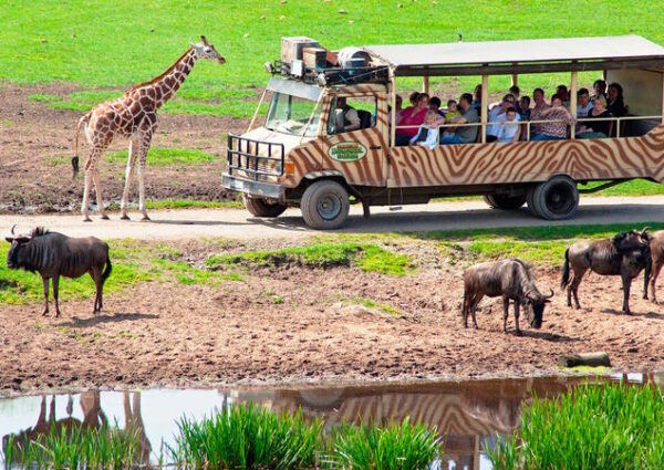Serengeti-Park Hodenhagen – Expedition Natur und Abenteuer