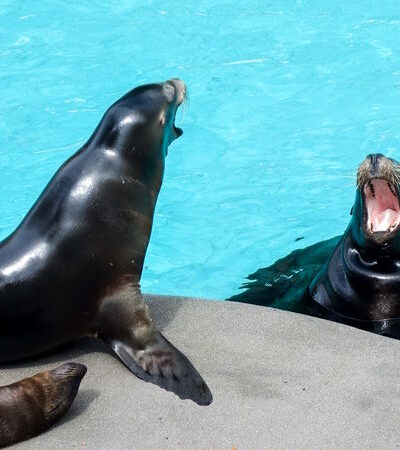 Zoo Wuppertal – der Grüne Zoo