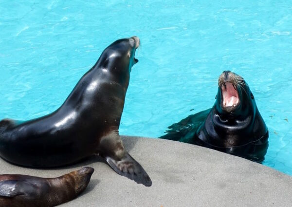 Zoo Wuppertal – der Grüne Zoo
