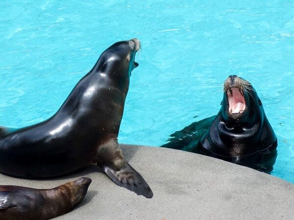 Zoo Wuppertal – der Grüne Zoo
