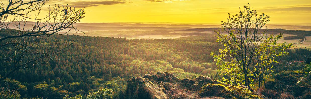 Urlaub im Taunus