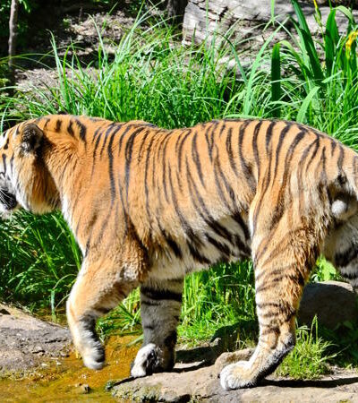 Zoo Leipzig – einer der ältesten Zoologischen Gärten in Deutschland