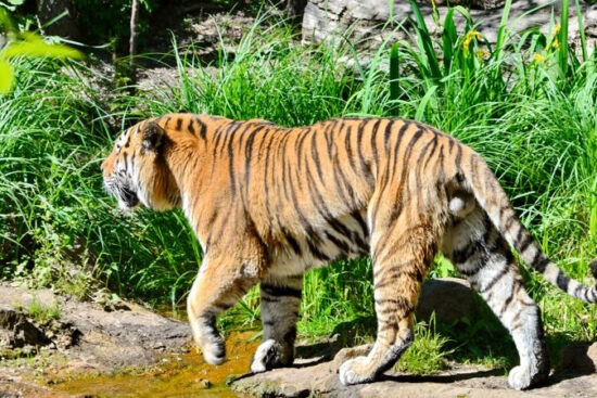 Zoo Leipzig