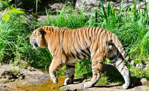 Zoo Leipzig