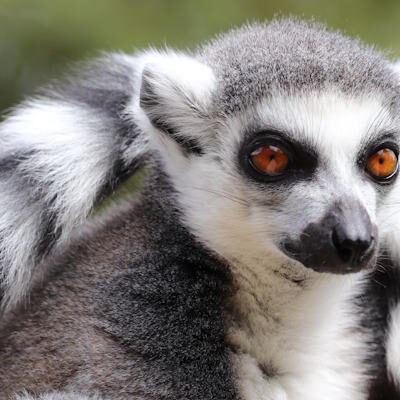 Allwetterzoo Münster – ein tolles Erlebnis