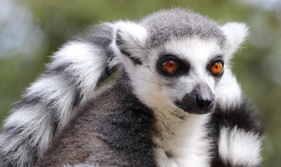 Allwetterzoo Münster – ein tolles Erlebnis für die ganze Familie