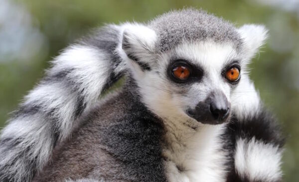 Allwetterzoo Münster