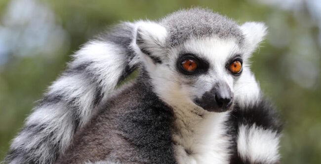 Allwetterzoo Münster – ein tolles Erlebnis