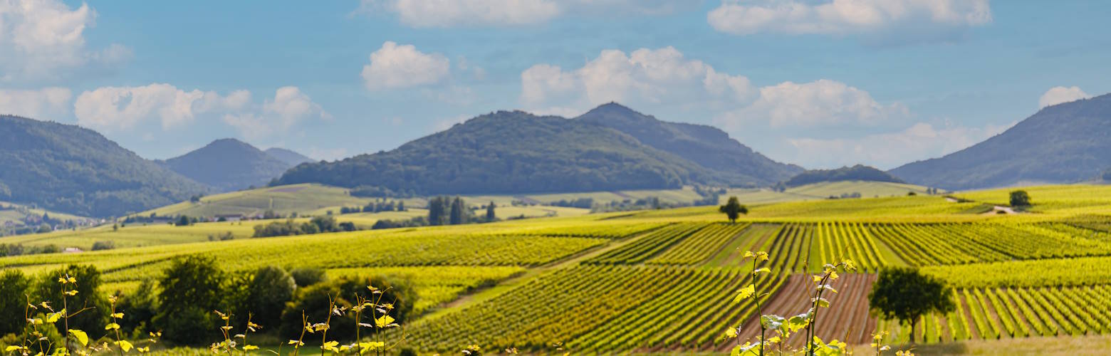 Urlaub in Rheinland-Pfalz