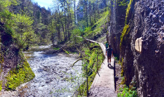 Wanderung entlang des Eistobels im Allgäu – Ein einmaliges Naturerlebnis